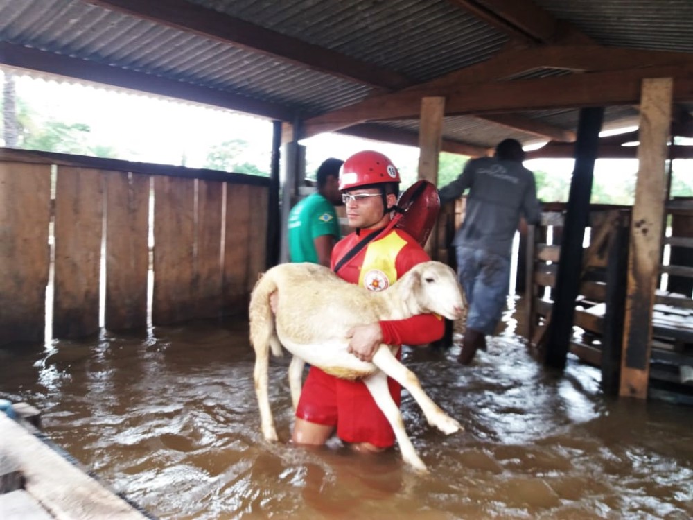 Ascom Corpo de Bombeiros Militar do Tocantins